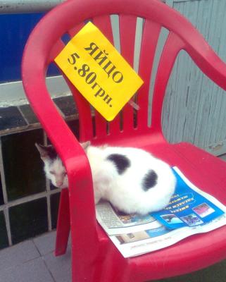 Прикрепленное изображение: Фото0836.jpg